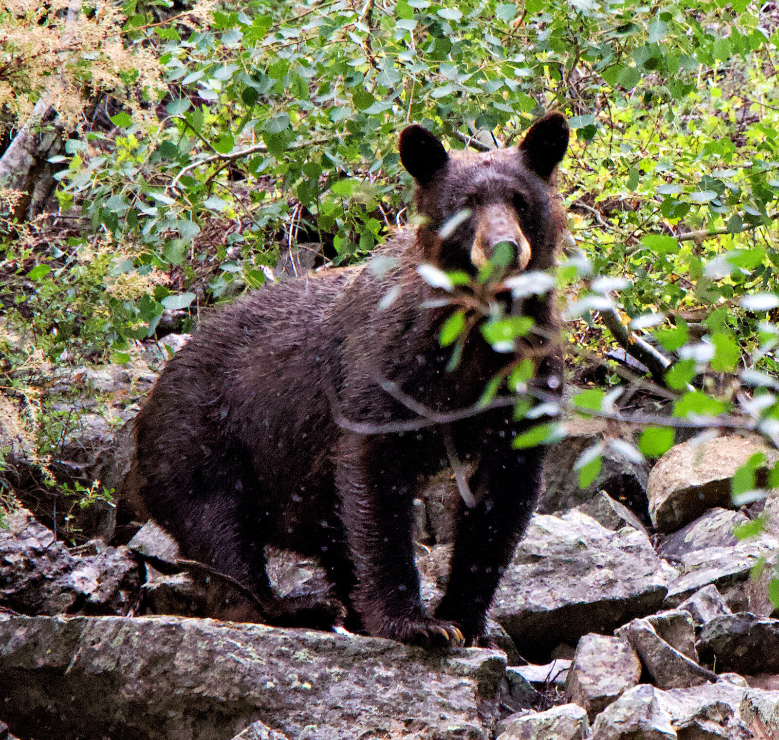 064A2722_Crystal Mill.jpg