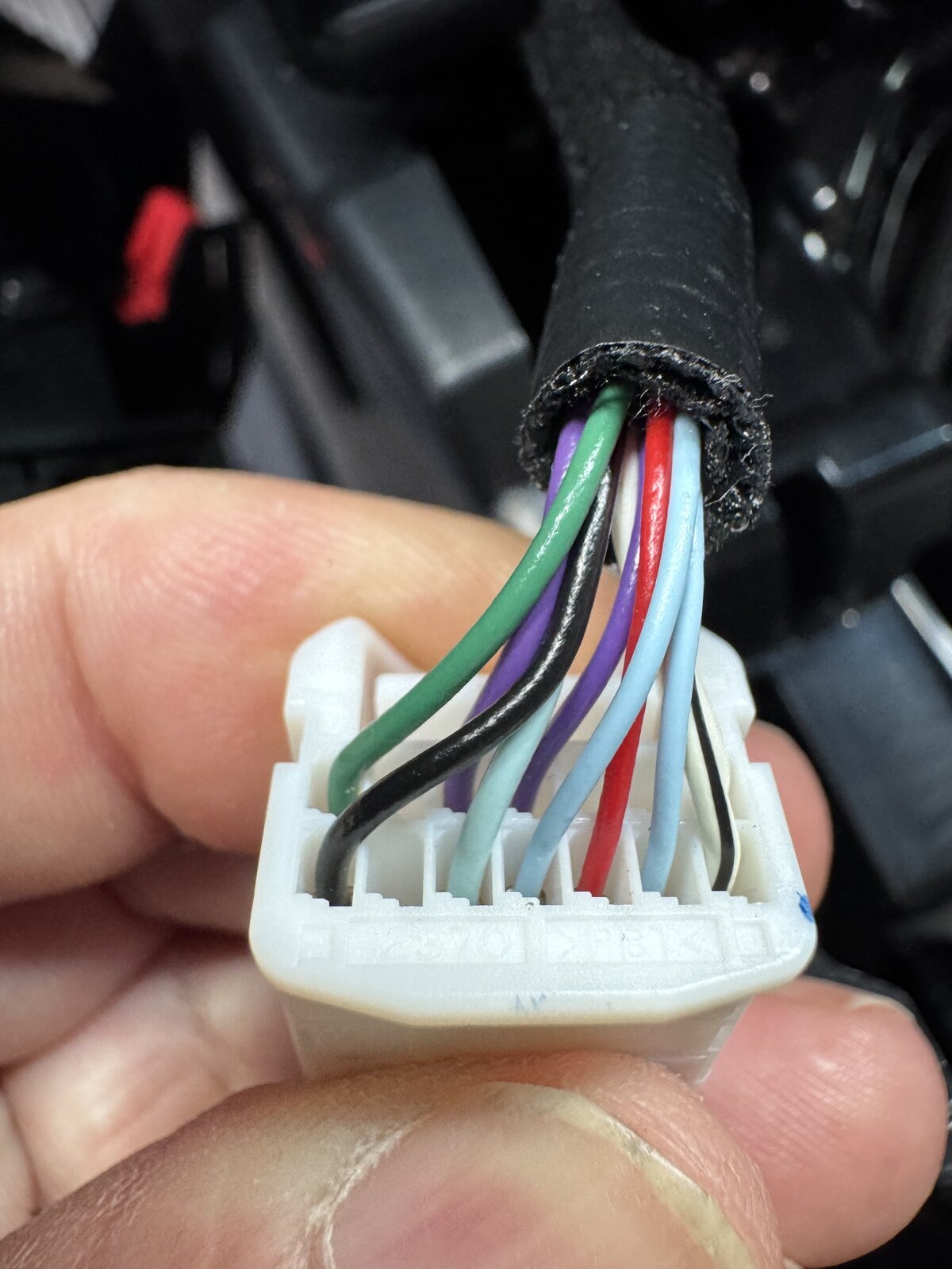 Plug1.jpeg