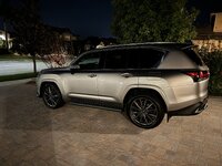 IMG_1235.jpeg