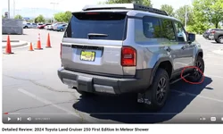 ldfld.webp