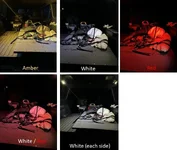 Lights.webp