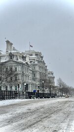 IMG_2766.jpeg