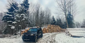 2025-01-07 20_49_36-Photo - Google Photos.webp