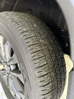 IMG_4859.jpeg
