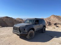 IMG_7868.jpg