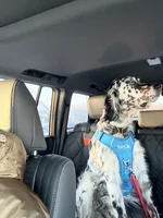 Atlas back seat.webp