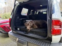 IMG_1376.jpeg