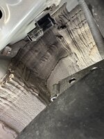 IMG_3312.jpeg