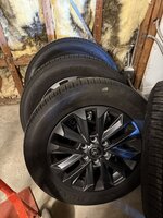 IMG_1964.jpeg