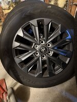 IMG_1966.jpeg