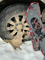 IMG_3308.jpeg