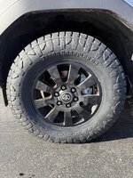 IMG_0518.jpeg