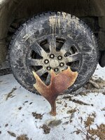 IMG_3325.jpeg