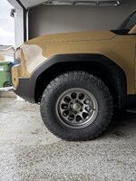 IMG_9381.jpeg