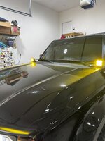 IMG_0356.jpeg