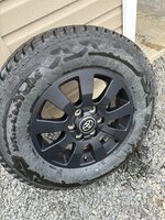 IMG_3470.jpeg