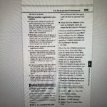 P 2.webp