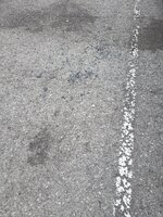 20250419_080849.jpg
