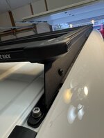 IMG_2091.jpeg