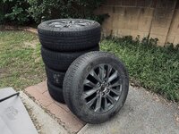 IMG_4408.jpeg