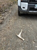 IMG_3519.jpeg
