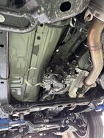 IMG_8194.jpeg