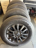 IMG_3197.jpeg