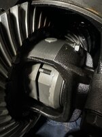 IMG_7377.jpeg