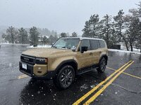 IMG_3431.jpeg