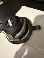 IMG_2632.jpeg