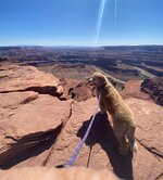 Deadhorse Point State Park.jpeg