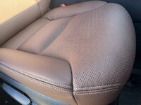 IMG_6731.jpeg