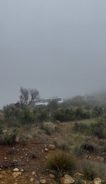 IMG_3423.jpeg