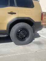 IMG_4256.jpeg