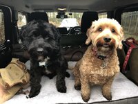 IMG_3504.jpeg