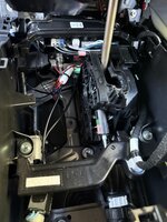 IMG_8778.jpeg
