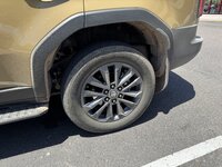 IMG_4325.jpeg