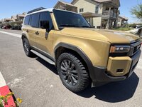 IMG_4333.jpeg