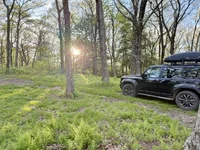 Photo contest thumbnail