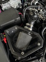 IMG_0767.jpeg