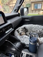 IMG_0168.jpeg