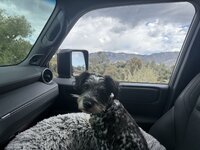 IMG_0154.jpeg