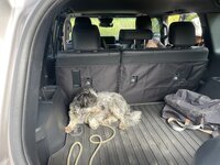 IMG_5918.jpeg