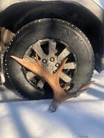 IMG_3661.jpeg