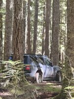 Photo contest thumbnail