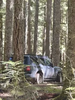 Photo contest thumbnail