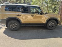 IMG_3491.jpeg