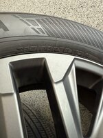 IMG_2876.jpeg