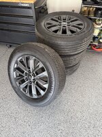IMG_2877.jpeg