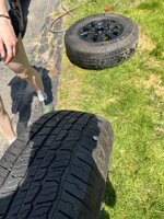 IMG_3464.jpeg